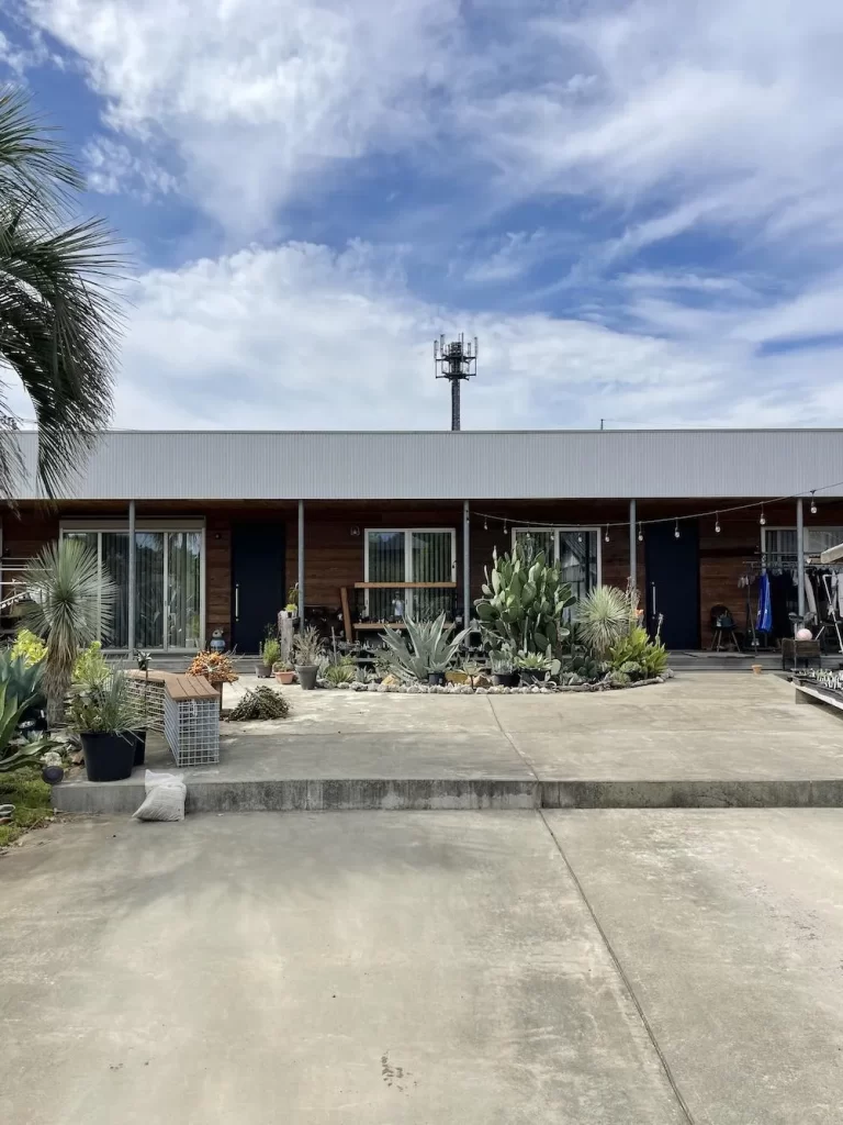 Plants in a flat house
